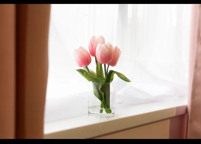 Warwick Spaces * Carlisle (Cumbria)