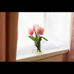 Warwick Spaces * Carlisle (Cumbria)